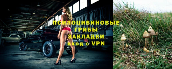 каннабис Каменногорск