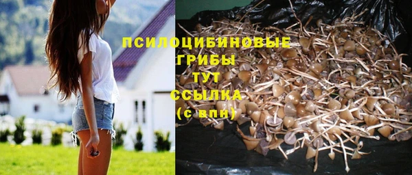 каннабис Каменногорск