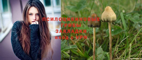 каннабис Каменногорск