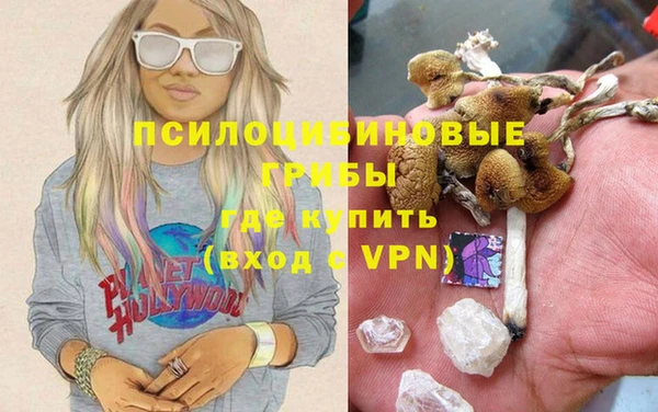 каннабис Каменногорск
