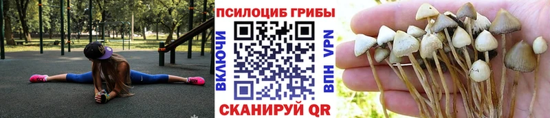 Галлюциногенные грибы ЛСД  Купить  Дубна 